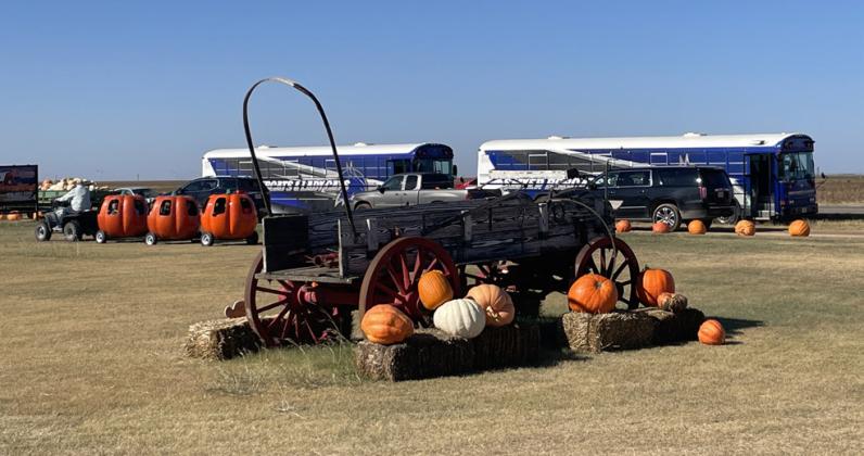 ASSITER PUNKIN’ RANCH