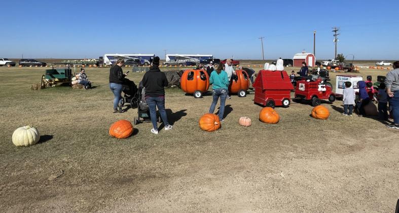 ASSITER PUNKIN’ RANCH