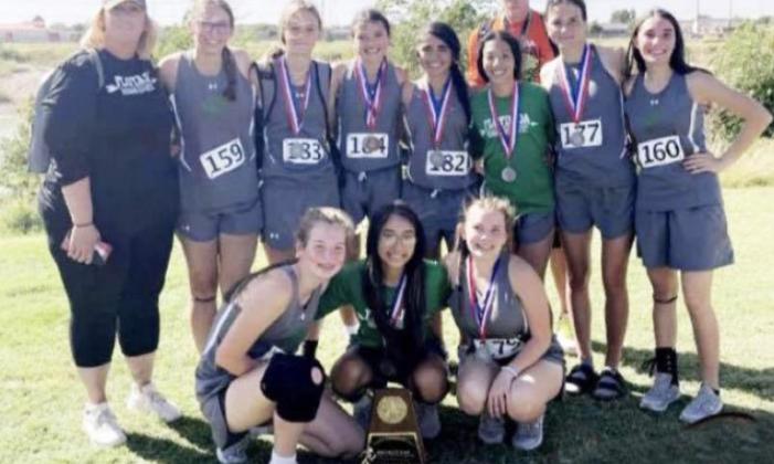 Whirlwind girls cross country team advances to Regionals