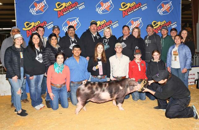 LOCKNEY HONORS Congratulations go to Kaileigh Cook of Lockney, who received 4th place with her spot gilt at the San Antonio Stock Show. | COURTESY PHOTO
