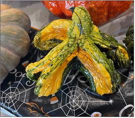 Assiter welcomes visitors of all ages to Punkin' Ranch