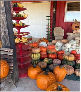 Assiter welcomes visitors of all ages to Punkin' Ranch