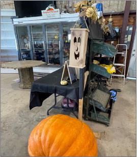 Assiter welcomes visitors of all ages to Punkin' Ranch