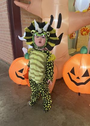 SPOTLIGHT ON TRUNK OR TREATING