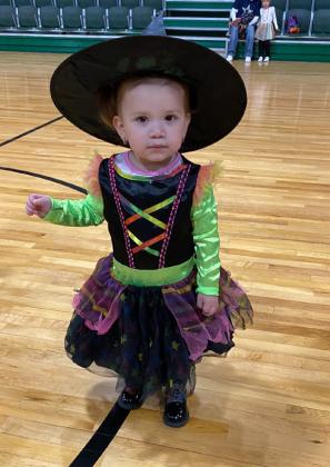 SPOTLIGHT ON TRUNK OR TREATING