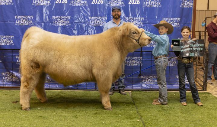 GRAND CHAMPION MARKET STEER STETSON NUTT