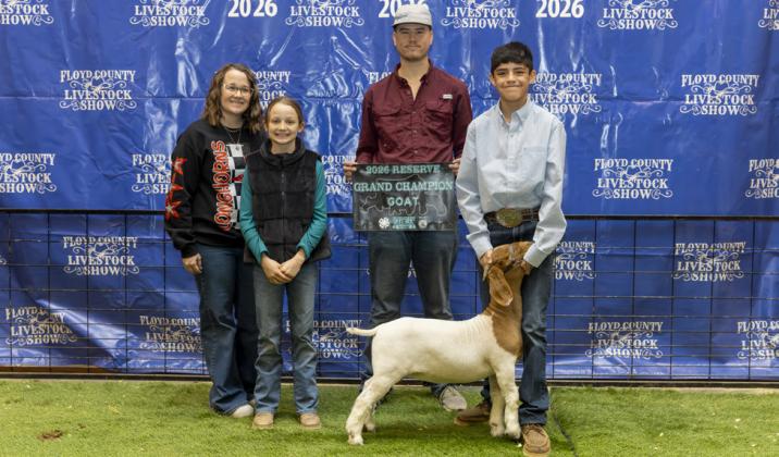 RESERVE GRAND CHAMPION MARKET RABBIT ELI GUERRERO