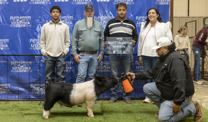 GRAND CHAMPION MARKET BARROW ARMANDO CHAVARRIA III