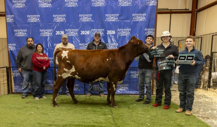GRAND CHAMPION DAIRY HEIFER NICK CERVANTES