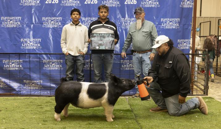RESERVE GRAND CHAMPION BREEDING GILT ARMANDO CHAVARIA III