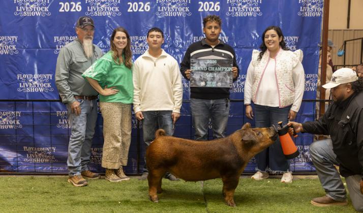 GRAND CHAMPION BREEDING GILT DAVID SANCHEZ