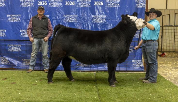 RESERVE GRAND CHAMPION BREEDING HEIFER AAREN REXRODE