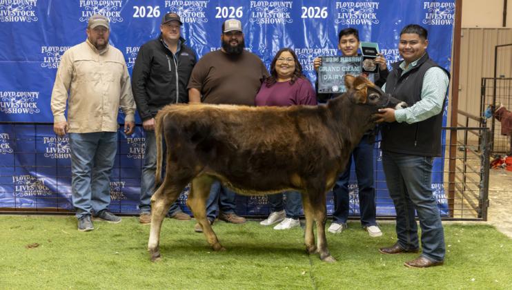 RESERVE GRAND CHAMPION DAIRY HEIFER MANUEL RUBIO