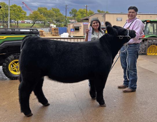 Lockney FFA among top performers at State Fair Junior Heifer Show