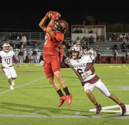 SPOTLIGHT ON LONGHORNS DISTRICT CHAMPS