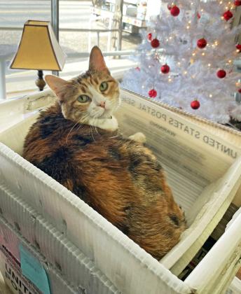 SANTA CLAWS Newspaper cat Governor (the orange tabby) in the Spur office reminds subscribers to send in their changes of address promptly after moving, rather than allowing USPS forwarding to lapse. Not only does the Postal Service charge almost a dollar for a returned newspaper— you’re missing out on every issue that gets sent back to us! Email us at fchb.news@gmail.com | HESPERIAN-BEACON
