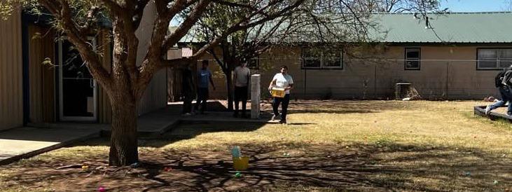 SPOTLIGHT ON EASTER EGG-STRAVAGANZAS