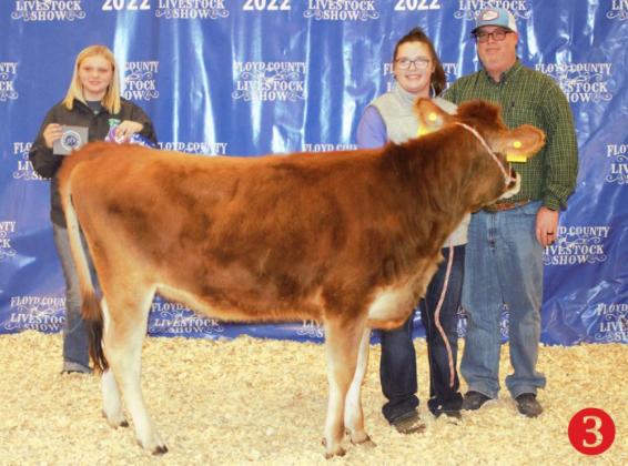  GRAND CHAMPION DAIRY HEIFER BRINLEY LEFEVRE