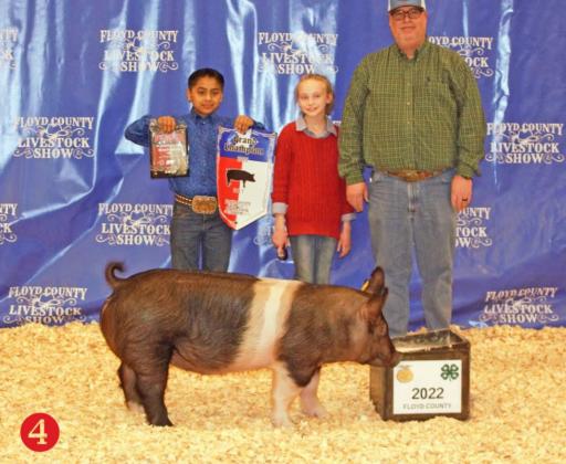  GRAND CHAMPION GILT BRIGHTON REESE