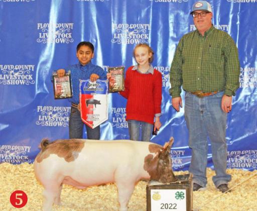  GRAND CHAMPION BARROW BRIGHTON REESE