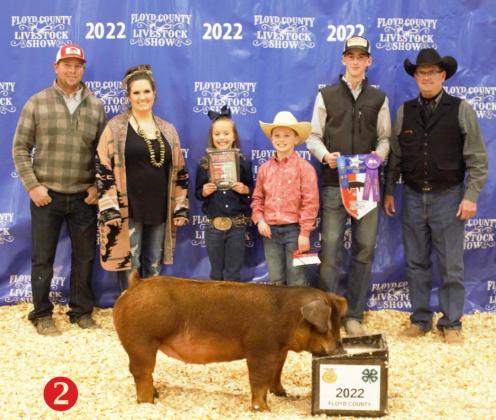  RESERVE GRAND CHAMPION GILT CARTER DUNIVEN