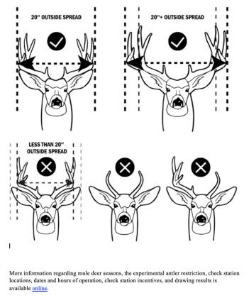 Mule Deer Buck Antler Restrictions Guide Legal vs. Not Legal (see diagram above)