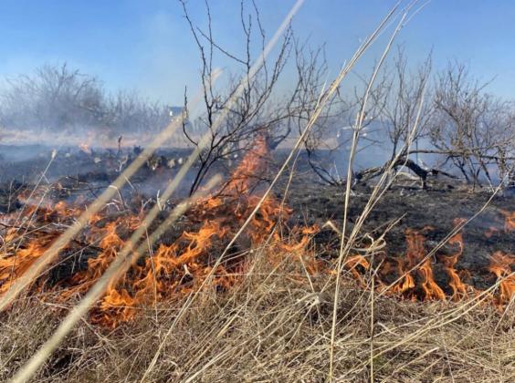 FIRE RELIEF Donations of hay, feed and fencing supplies are needed to support those impacted by the devastating Eastland Complex wildfires that have already burned more than 45,000 acres in Texas. | TEXAS A&amp;amp;M FOREST SERVICE PHOTO
