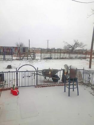 SPOTLIGHT ON SNOW DAY