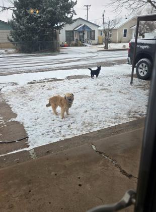SPOTLIGHT ON SNOW DAY