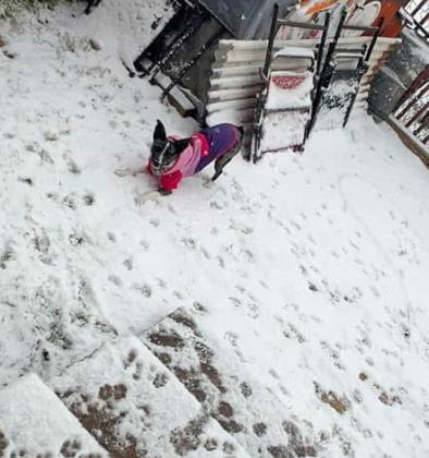 SPOTLIGHT ON SNOW DAY