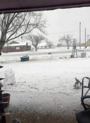 SPOTLIGHT ON SNOW DAY