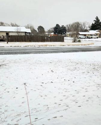 SPOTLIGHT ON SNOW DAY