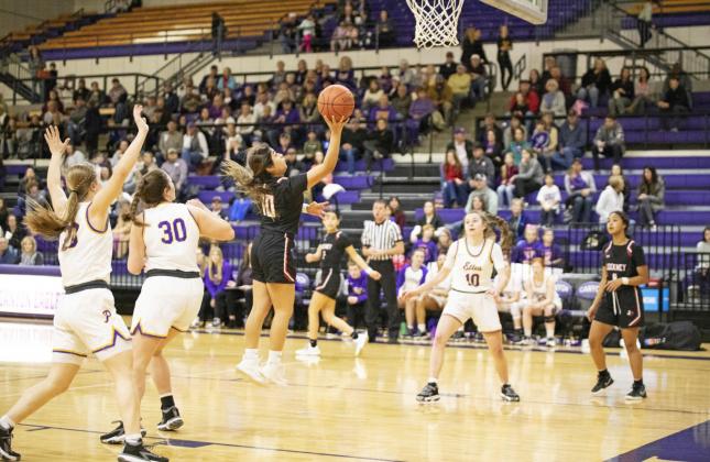 Lady Horns fall to Panhandle in tough Area Championship