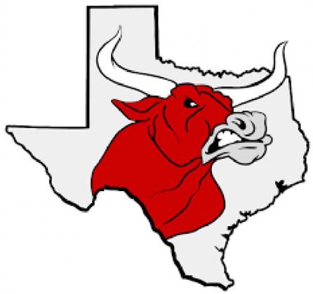 Lady Horns fall to Panhandle in tough Area Championship