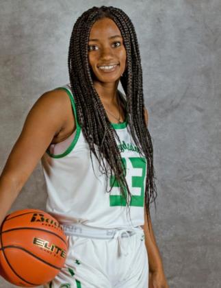 Lady Winds earn All-District basketball honors