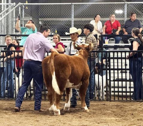 Lockney FFA members earn honors
