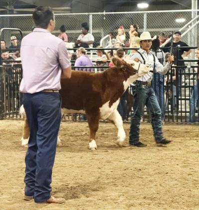 Lockney FFA members earn honors