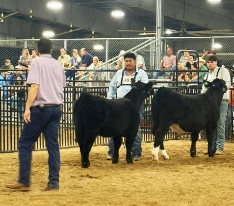 Lockney FFA members earn honors