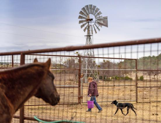 The Lady Landowner Series April 27 through June 1 is designed to answer management questions from female land and ranch owners. | Texas A&amp;amp;M AgriLife photo by Sam Craft
