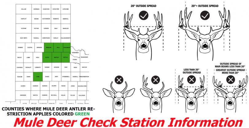Lubbock area game wardens organizing for mule deer saturation patrol