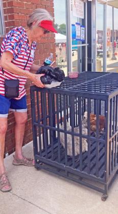 SPOTLIGHT ON FLOYD COUNTY OLD SETTLERS DAY
