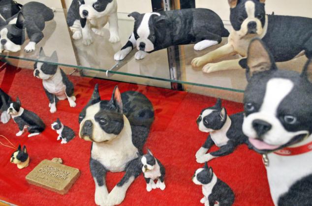 Floydada’s Boston Terrier Museum featured on ‘Texas Bucket List