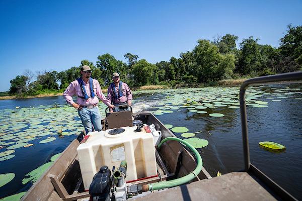 The Texas A&amp;M AgriLife Extension Service will present the webinar “Pond 365: Timing of Pond Practices” on Feb. 17 from 6-7:30 p.m. | SAM CRAFT | TEXAS A&amp;amp;M AGRILIFE