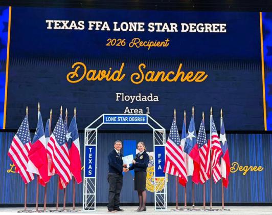 DAVID SANCHEZ
