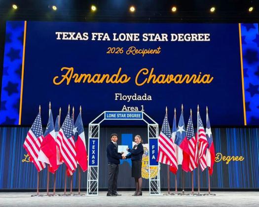 ARMANDO CHAVARRIA