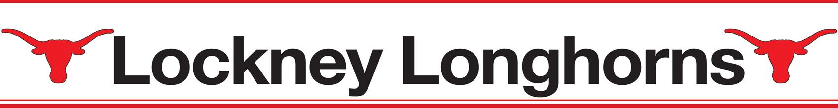 Alt Text for Image