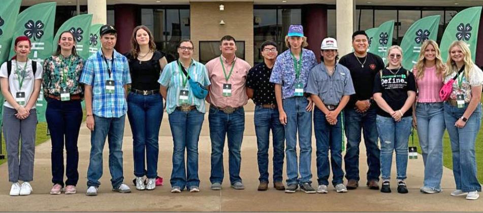 FLOYD 4-H ROUNDUP
