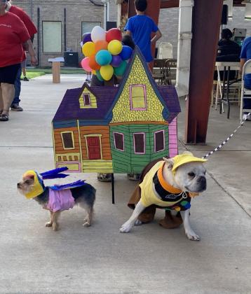 CUTEST OVERALL COSTUME Felicia with Sage and Nitro