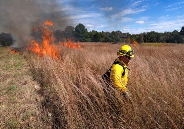 GETTING ON TOP OF FIRE The Texas A&amp;amp;M AgriLife Extension Service will host the Great Plains Fire Summit Aug. 13-15 in Canyon. | LAURA MCKENZIE/TEXAS A&amp;amp;M AGRILIFE