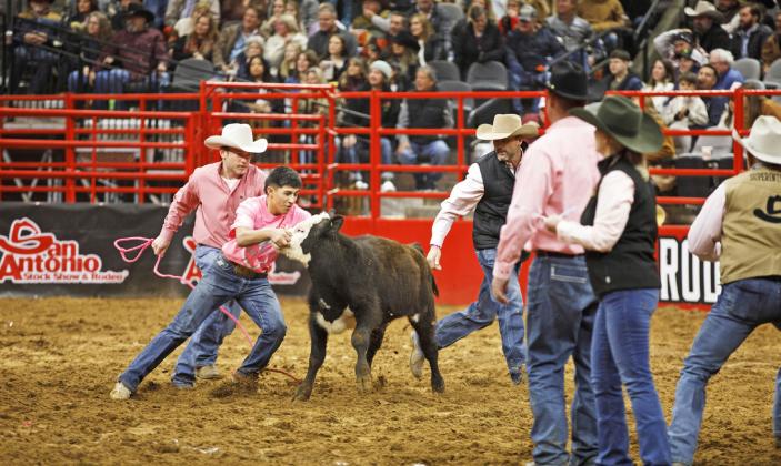 CALF SCRAMBLE “I knew nothing about it—just that you had to be the first to catch a calf, said Lockney FFAer Nick Cervantes, who made it to the finals in the event, which is part of the San Antonio Stock Show and Rodeo.“The moment you step in there, you’re running off adrenaline. It’s you versus 23 other kids in a battle for 12 calves.” | COURTESY PHOTO